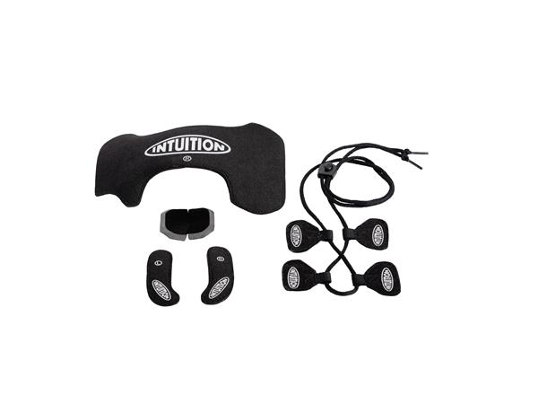 Intuition Tour wrap US 12/30 