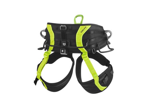 Vector Hip Night-oasis Size 1 