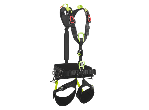 Vector Y Night-oasis Size 1 