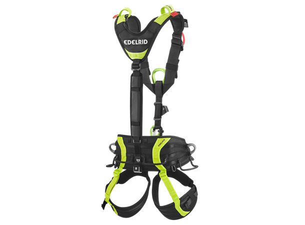 Vector Y Night-oasis Size 1 