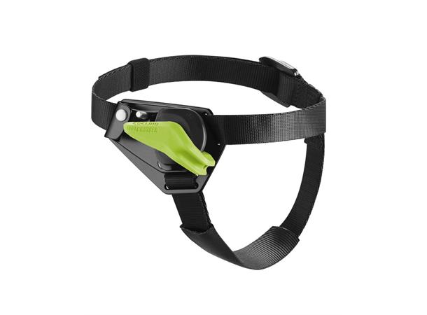 Foot Cruiser Right Night 