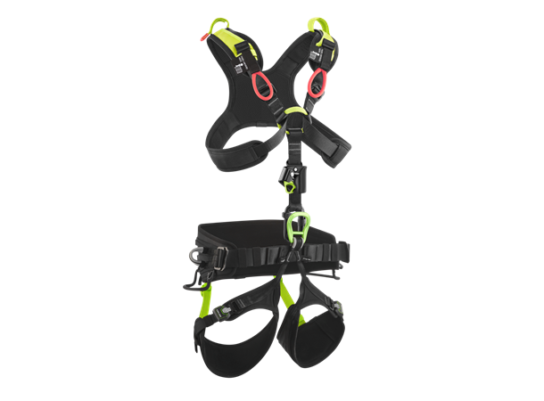 Vector X Night-oasis Size 1 