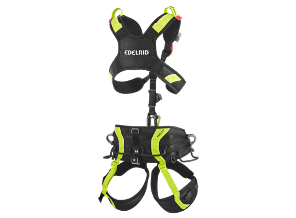 Vector X Night-oasis Size 1 