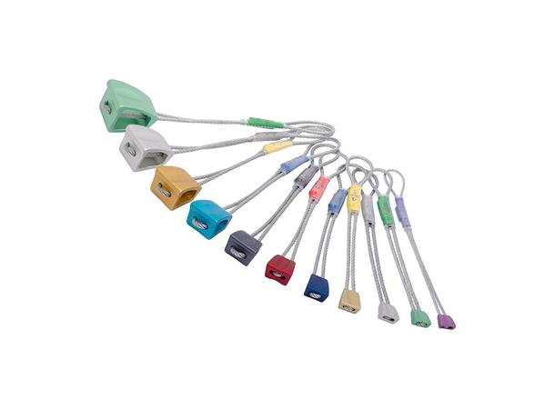 Wallnut Set Size 1-11 