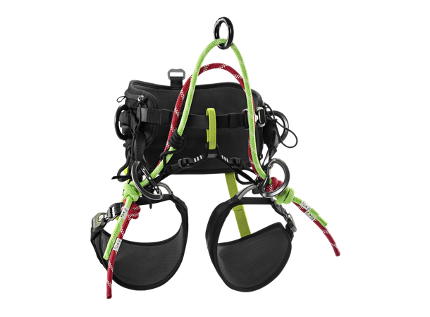 TreeRex II Night-oasis Size 0 