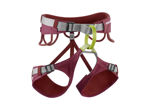 Jayne IV Rhubarb red M 