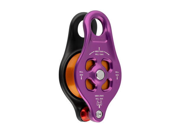 Pinto Rig 2 Pulley Purple 