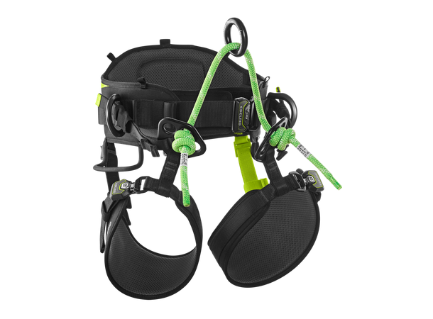 TreeRaptor Night-oasis Size 2 