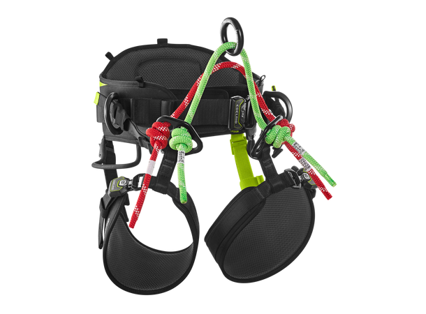 TreeRaptor Night-oasis Size 2 