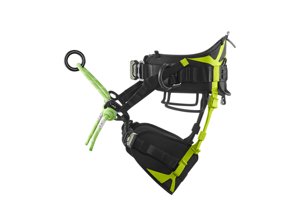 TreeRaptor Night-oasis Size 2 