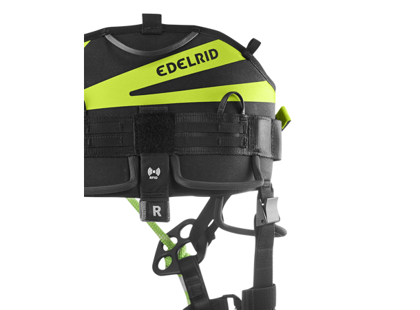 TreeRaptor Night-oasis Size 2 