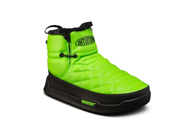 Original Mid Aurora Green M 