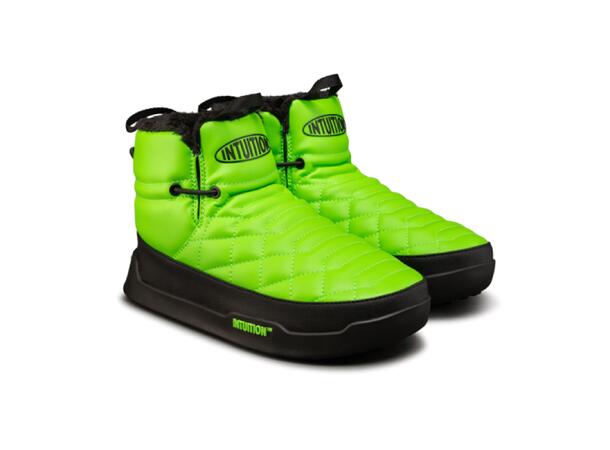 Original Mid Aurora Green M 