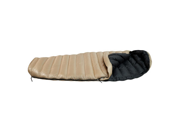 DreamLite 6´0 LZ 